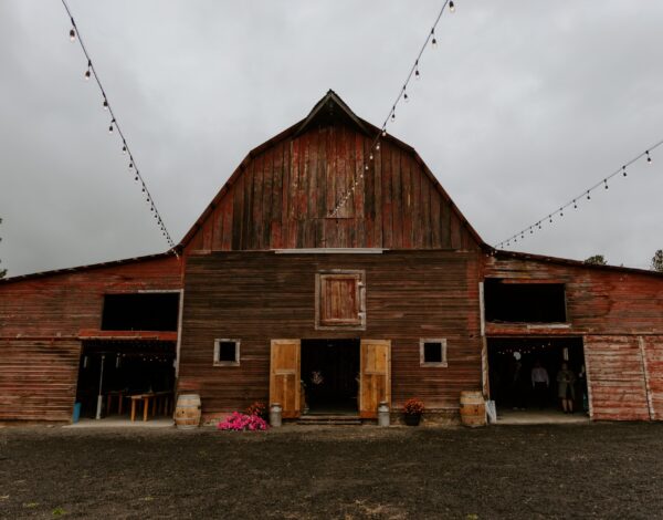 Silverbell Weddings & Events