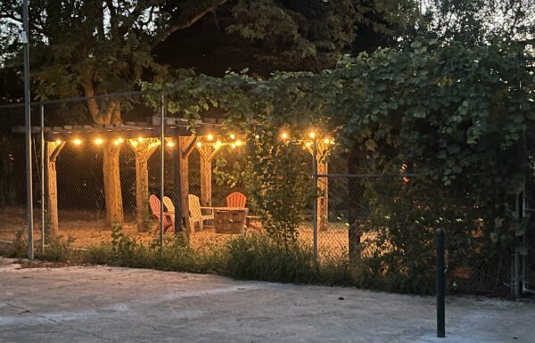Barn Owl Venue