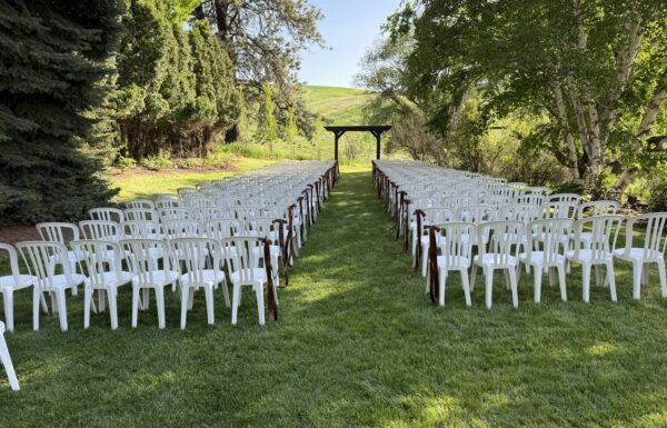 Barn Owl Venue