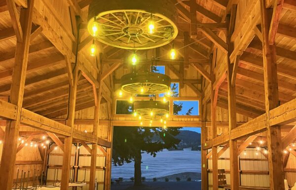 Barn Owl Venue