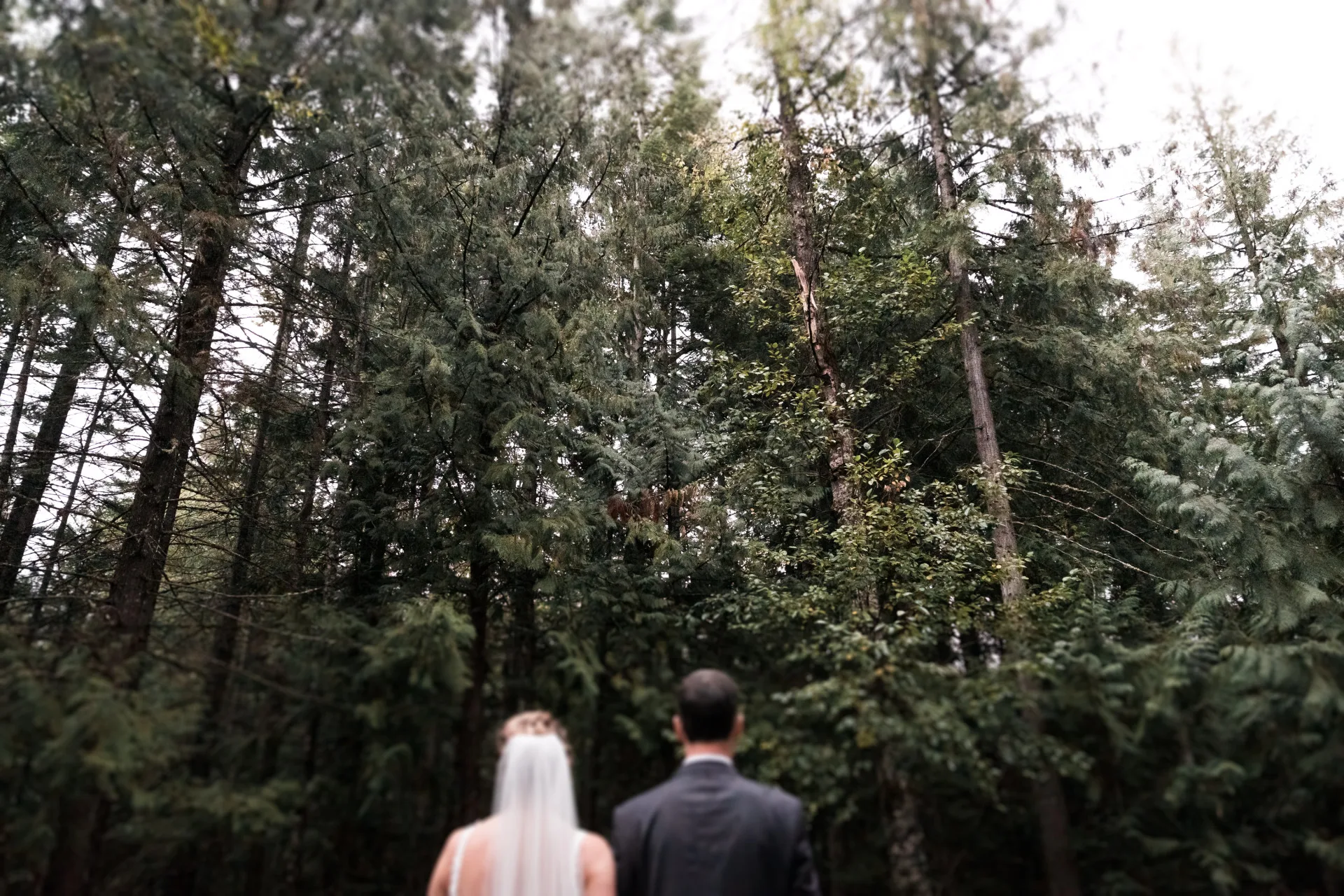 Forest Wedding