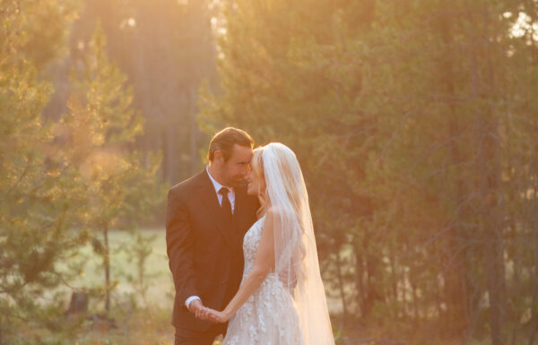 Jennifer Taylor Photography