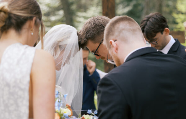 Arch and Elm Photography