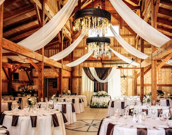 Barn Owl Venue