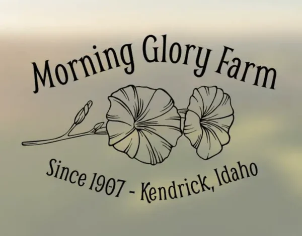 The Barn at Morning Glory Farm